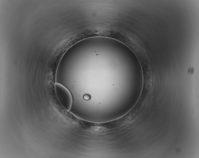 X0000112060748200908041214