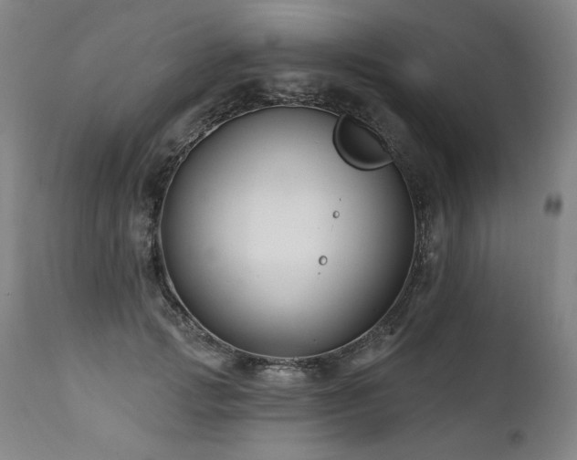 X0000112060749200908041214