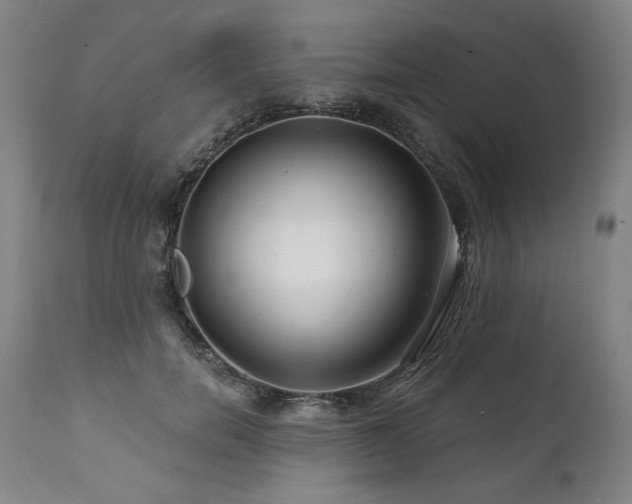 X0000112060750200908041214