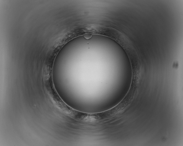 X0000112060751200908041214