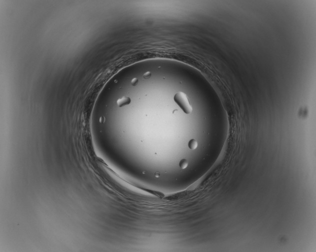 X0000112060752200908041214