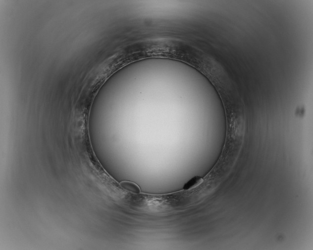 X0000112060753200908041214