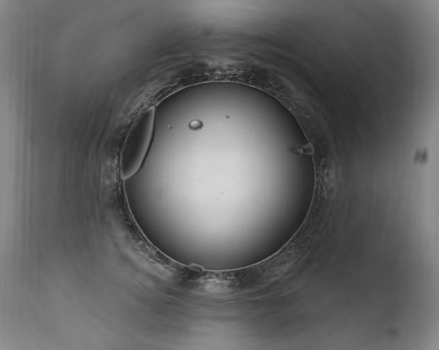 X0000112060756200908041214