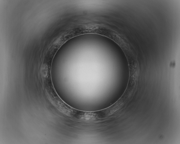 X0000112060758200908041214