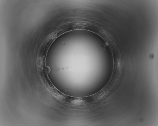 X0000112060759200908041214