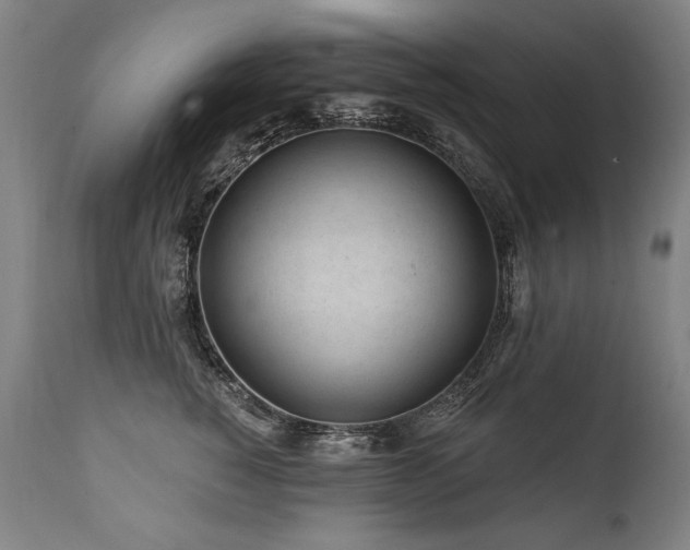 X0000112060760200908041214
