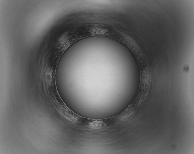 X0000112060761200908041214