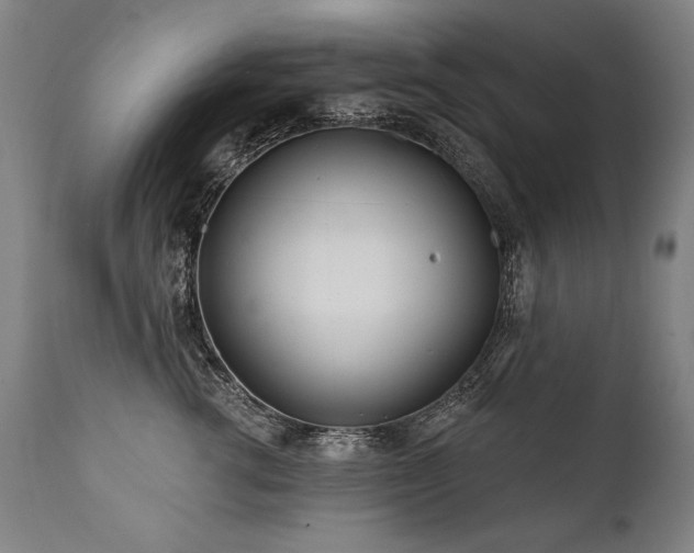 X0000112060762200908041214