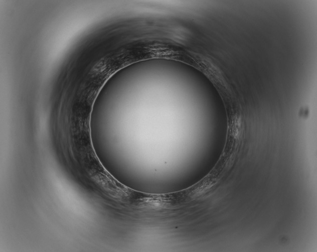 X0000112060763200908041214