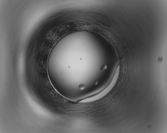 X0000112060764200908041214
