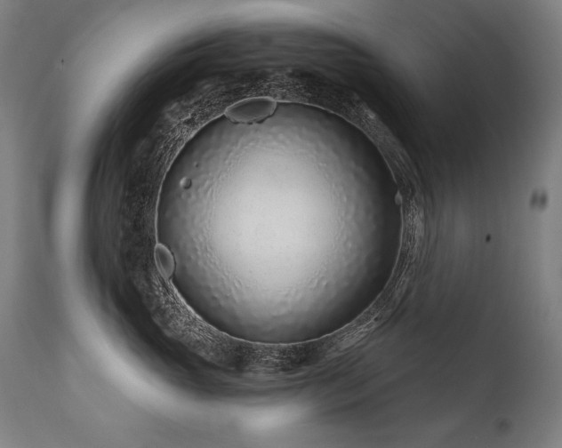 X0000112060765200908041214