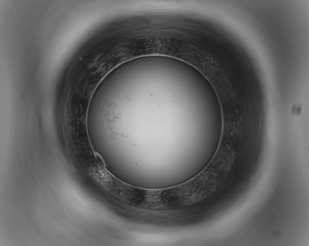 X0000112060766200908041214