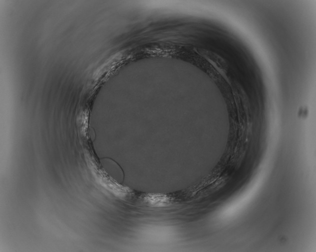 X0000112060767200908041214