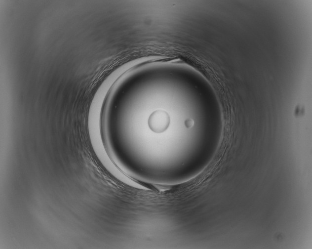 X0000112060768200908041214