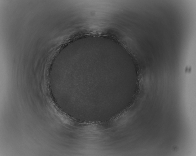 X0000112060769200908041214