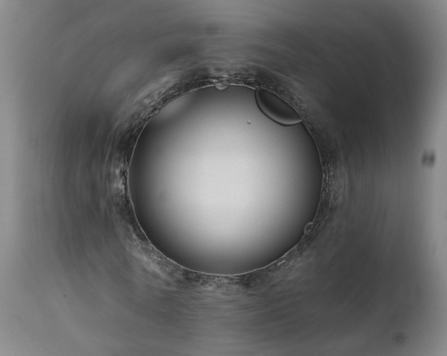 X0000112060770200908041214