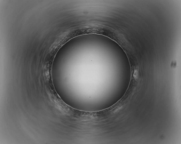 X0000112060771200908041214
