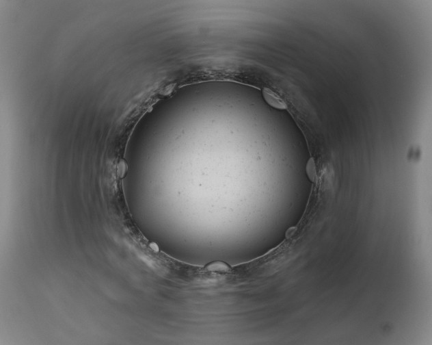 X0000112060772200908041214