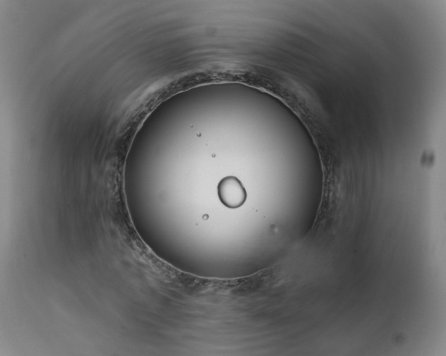 X0000112060773200908041214