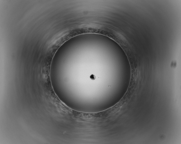 X0000112060774200908041214