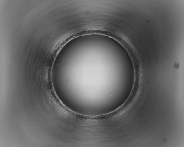 X0000112060777200908041214