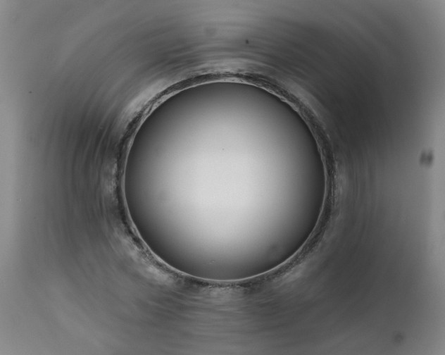 X0000112060778200908041214