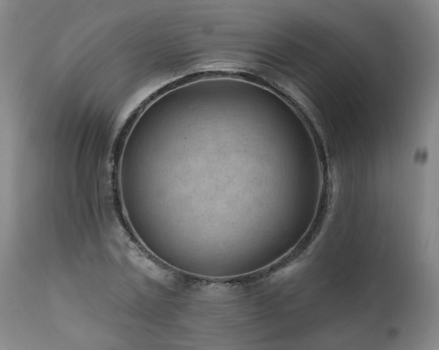 X0000112060779200908041214