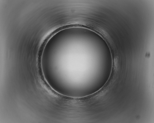 X0000112060780200908041214
