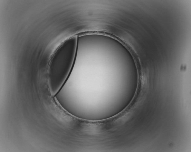 X0000112060781200908041214