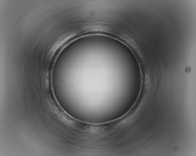 X0000112060782200908041214