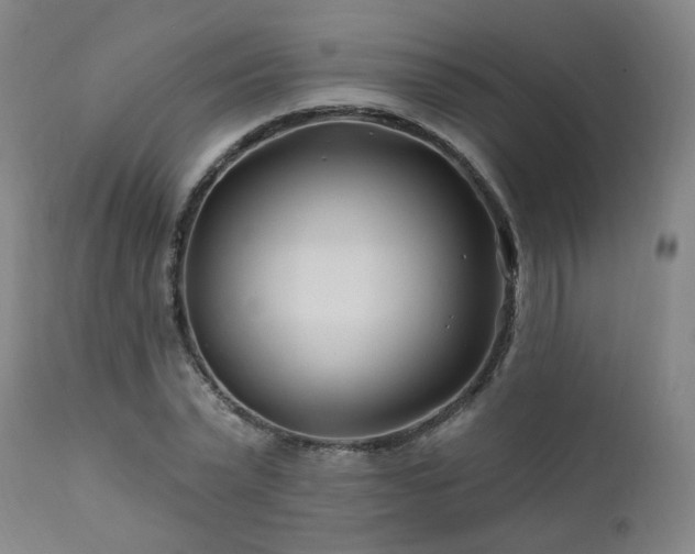 X0000112060783200908041214