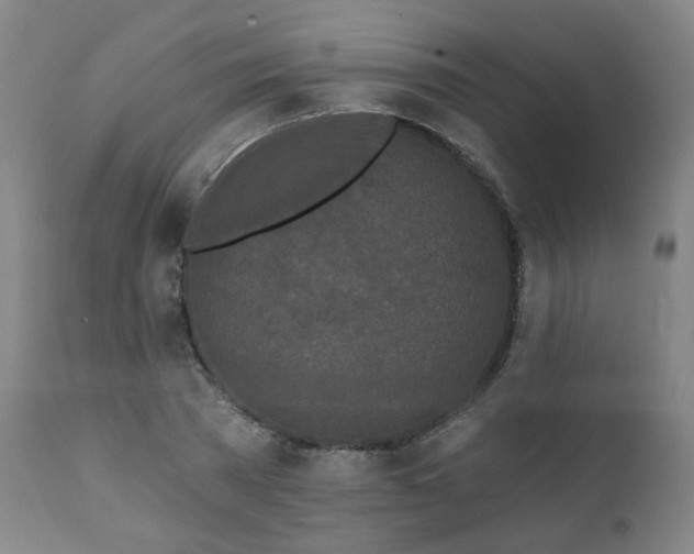X0000112060785200908041214