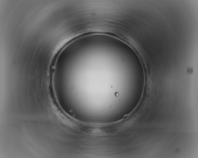 X0000112060787200908041214
