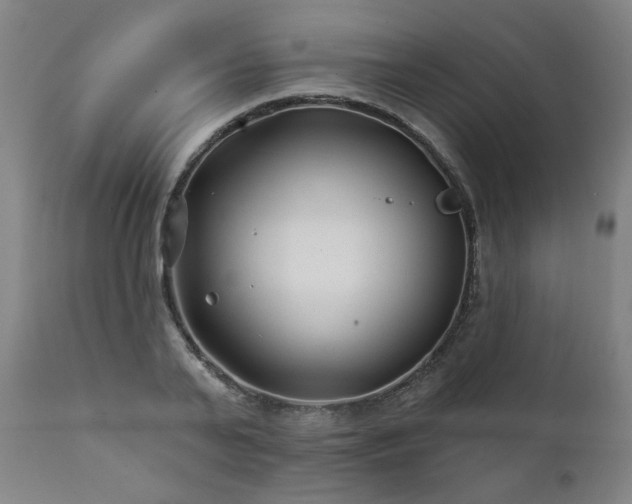 X0000112060791200908041213
