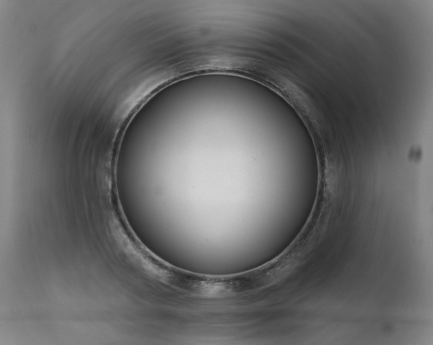 X0000112060794200908041213
