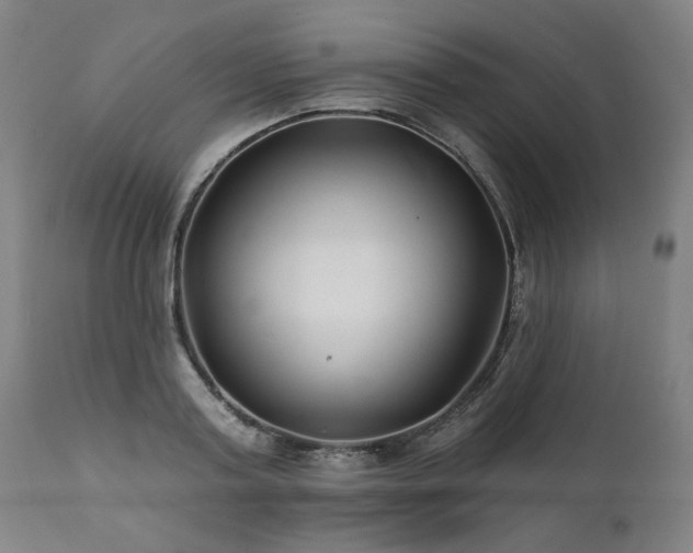 X0000112060795200908041213