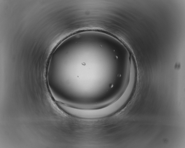 X0000112060797200908041213