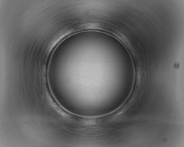 X0000112060798200908041213
