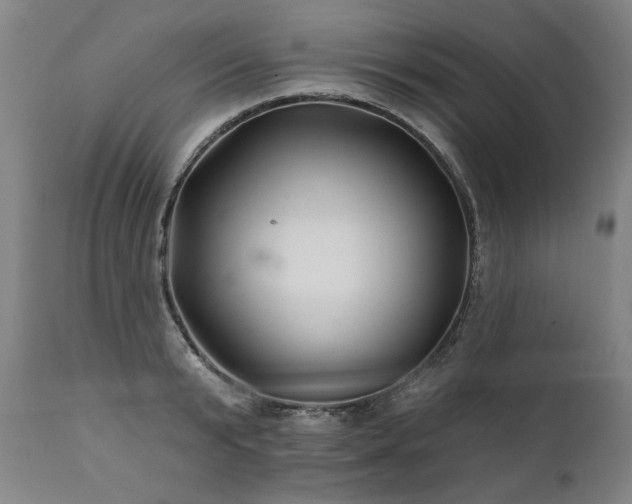X0000112060799200908041213