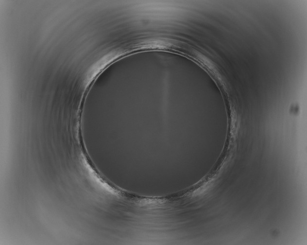 X0000112060802200908041213