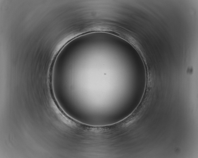X0000112060803200908041213