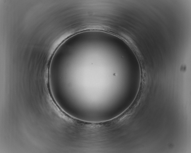 X0000112060804200908041213