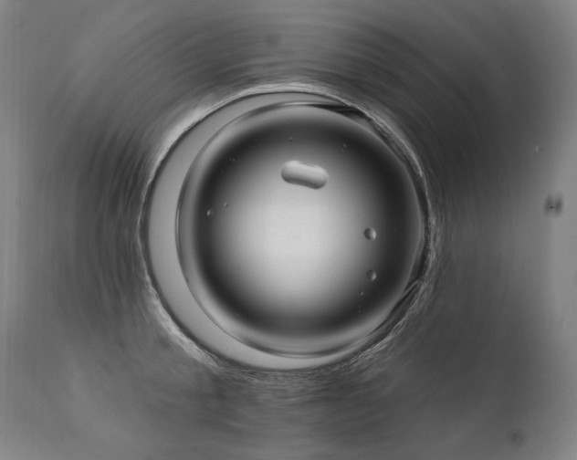 X0000112060805200908041213