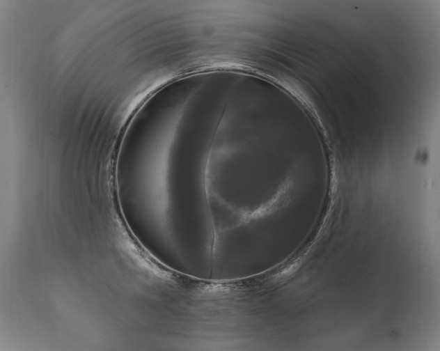 X0000112060806200908041213