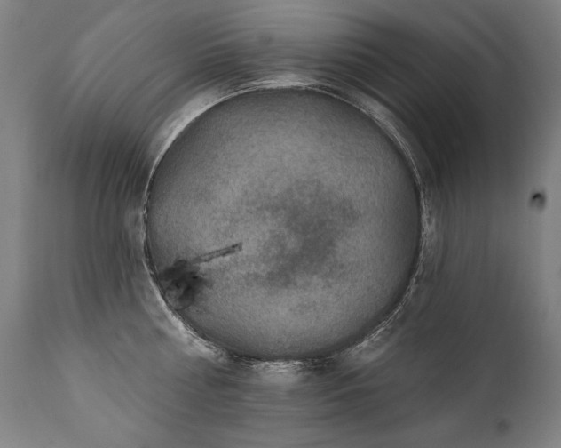 X0000112060810200908041213