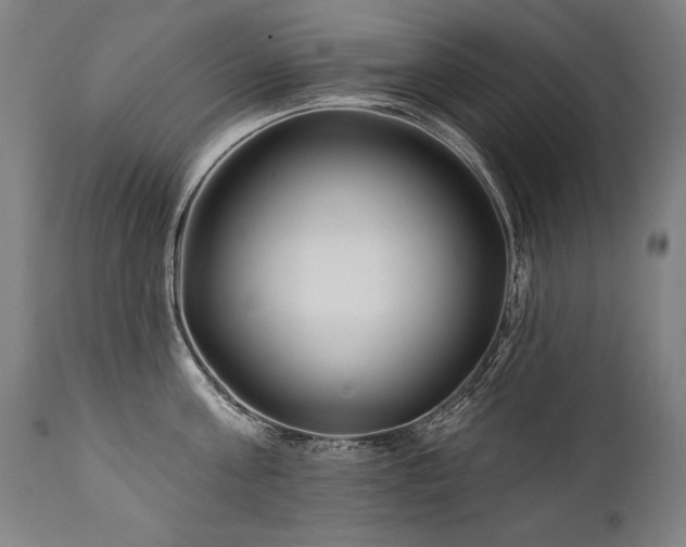 X0000112060811200908041213