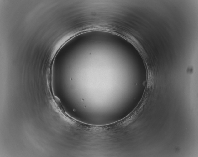 X0000112060812200908041213