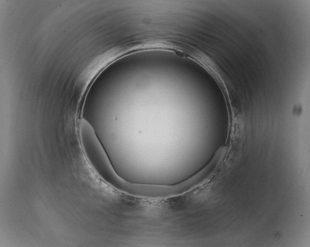 X0000112060813200908041213