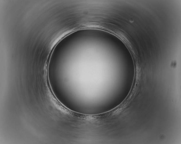 X0000112060814200908041213