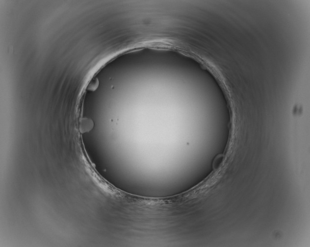 X0000112060816200908041213